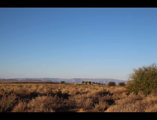 179HA FARM FOR SALE IN CALVINIA RURAL